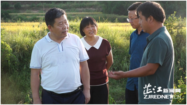 杜登峰一行来芷督导乡村振兴和防旱抗旱工作