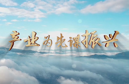 金秋五课丨以产业为先谋振兴