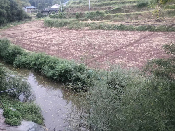 水宽乡柘莲村：稻菜轮作促增收
