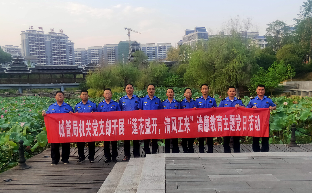 清廉芷江建设 | 芷江城管局机关党支部开展“莲花盛开，清风正来”清廉教育主题党日活动