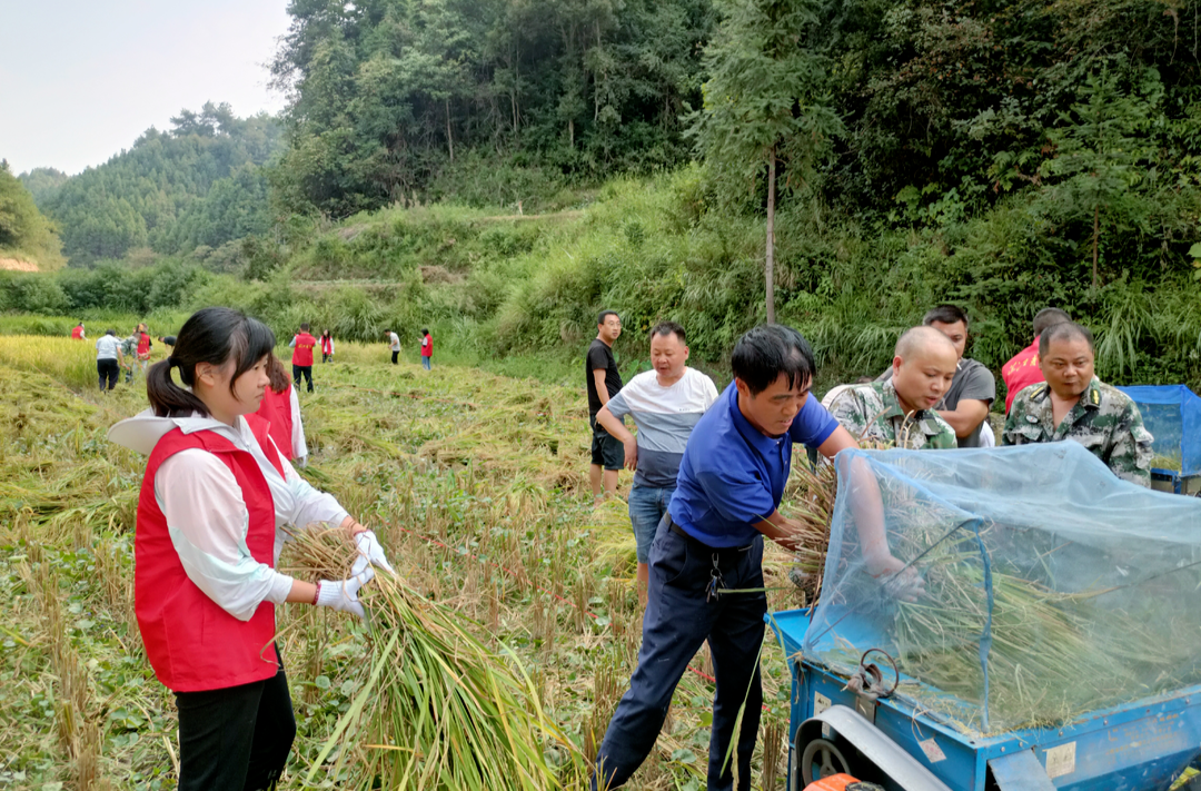 三整顿两提升 | 洞下场乡：我为群众办实事 助农秋收大比拼
