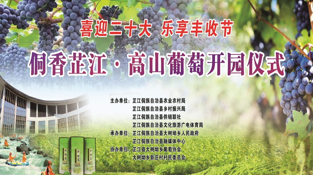 喜迎二十大  乐享丰收节 | 侗香芷江·高山葡萄开园仪式