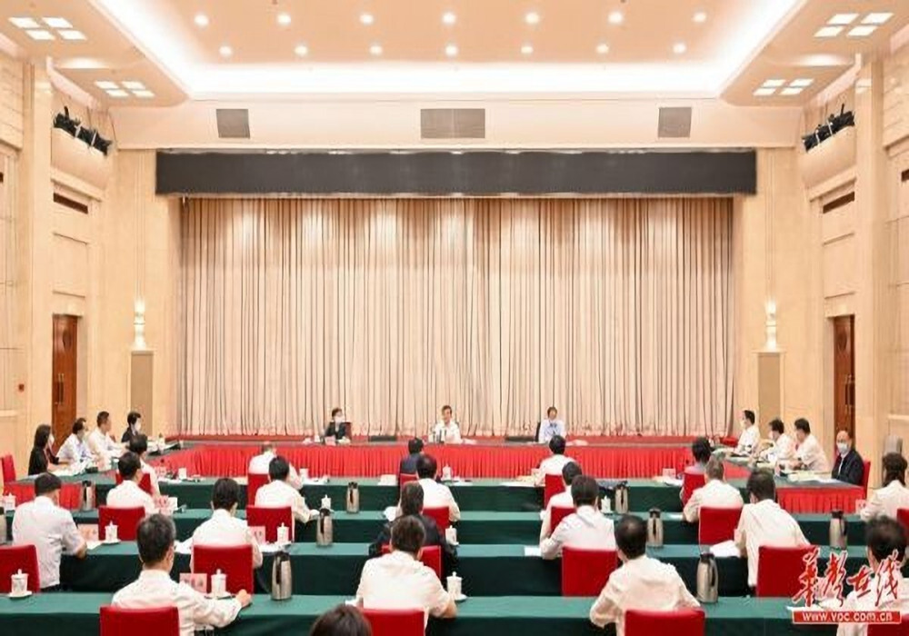 更好推动湖南高质量发展和现代化建设