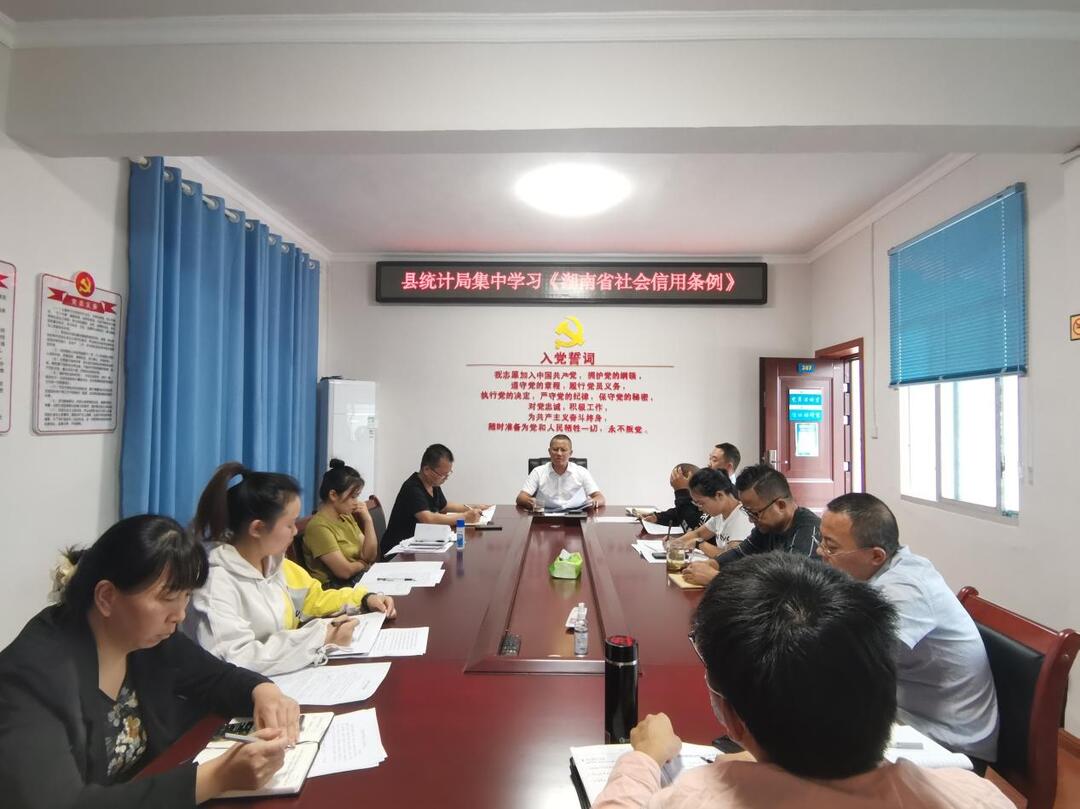 芷江统计局开展《湖南省社会信用条例》学习宣传活动