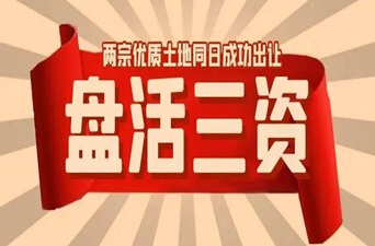 芷江突出“四个一批”推进“三资”清查处置
