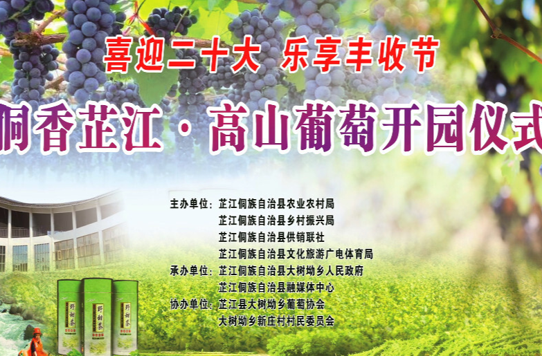 喜迎二十大，乐享丰收节 侗香芷江•高山葡萄节