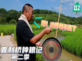 普利桥种粮记2｜鸟吃鱼没事 人捕鸟违法？老雷不干了！