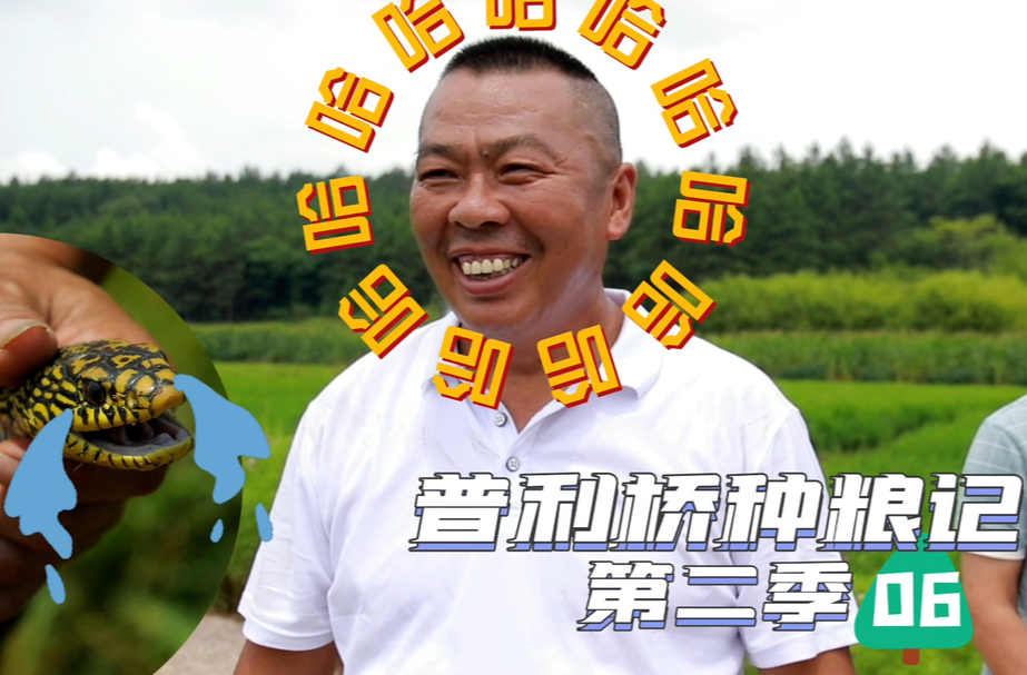 《普利桥种粮记·夏管篇》第6集：稻田筑起“铜墙铁壁”！为什么？