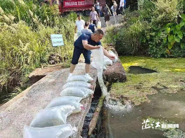 水宽乡柘莲村：倾情守护一方碧水