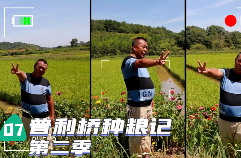《普利桥种粮记·夏管篇》第7集：你以为直播带货是那样的，其实是这样的……
