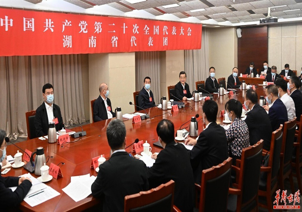 湖南代表团举行分组会议