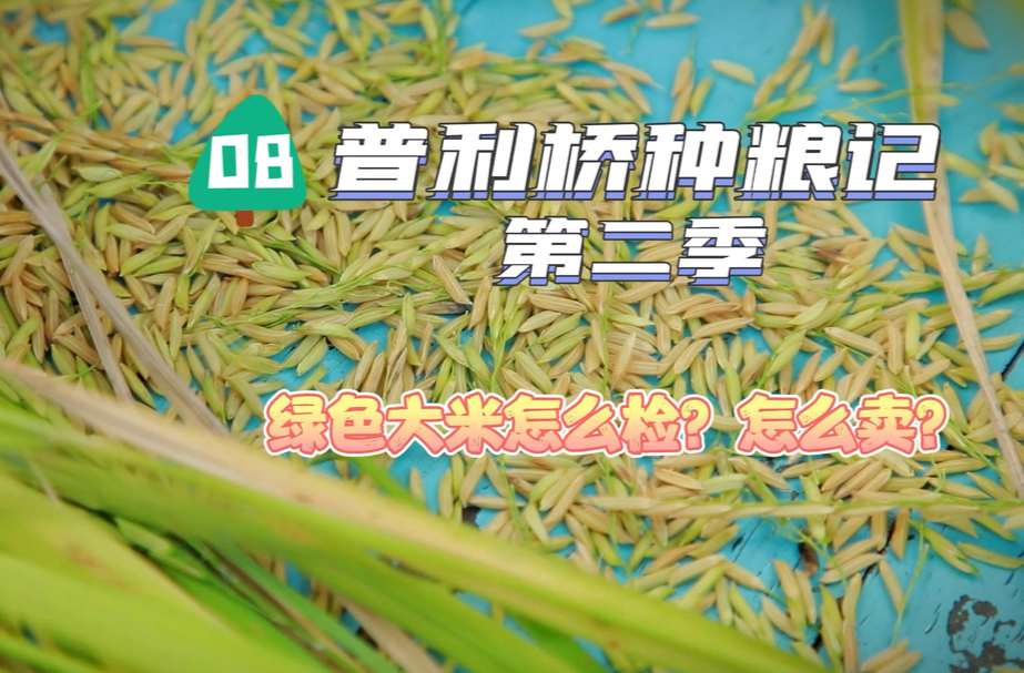 《普利桥种粮记·夏管篇》第8集：绿色大米怎么卖？小唐书记帮忙来出招！