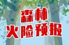 应急科普 | 图说：如何看懂森林火险预报？这些知识要学会
