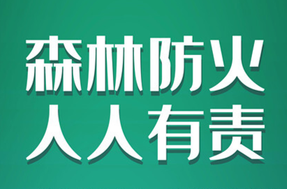 海报丨造成森林火灾  追究法律责任