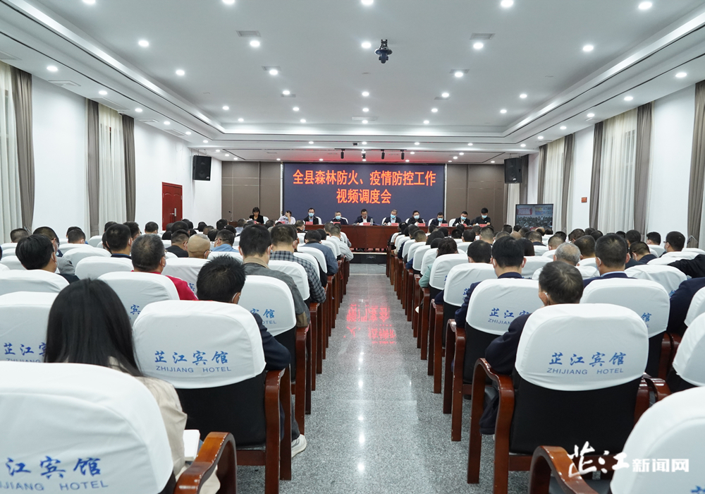全县森林防火、疫情防控工作视频调度会召开