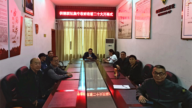 二十大精神进基层丨芷江供销联社党组集中学习二十大报告