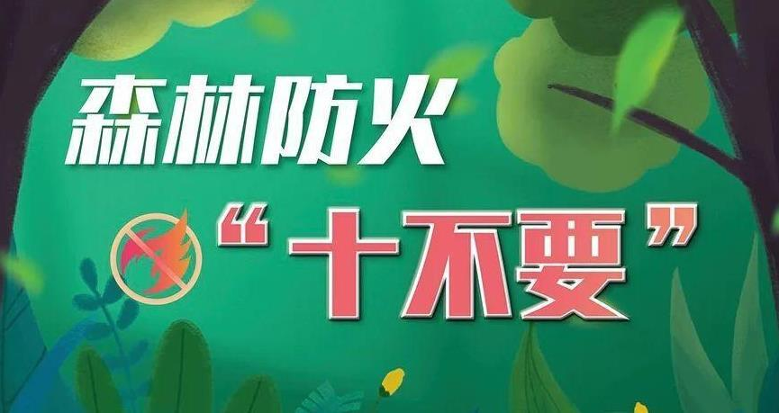 应急科普丨森林防火“十不要”