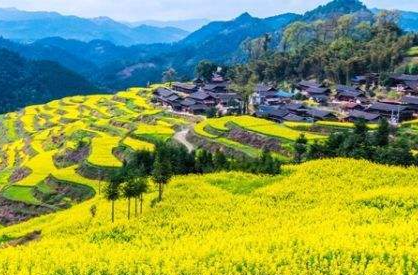 芷江县：持续聚焦“六大重点” 奋力书写全面推进乡村振兴“芷江答卷”