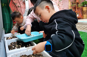 芷江一幼：体验劳动之美 享受探索快乐