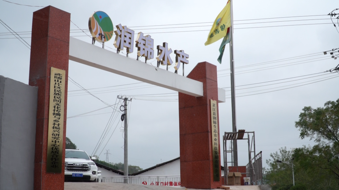 芷江镇小河口村：发展规模化水产养殖 助推乡村振兴