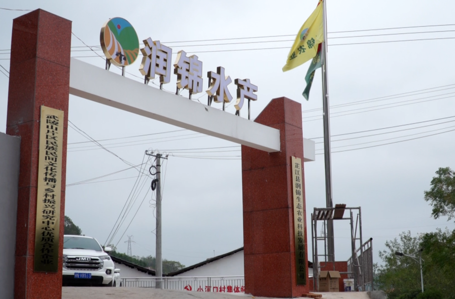 芷江镇小河口村：发展规模化水产养殖 助推乡村振兴