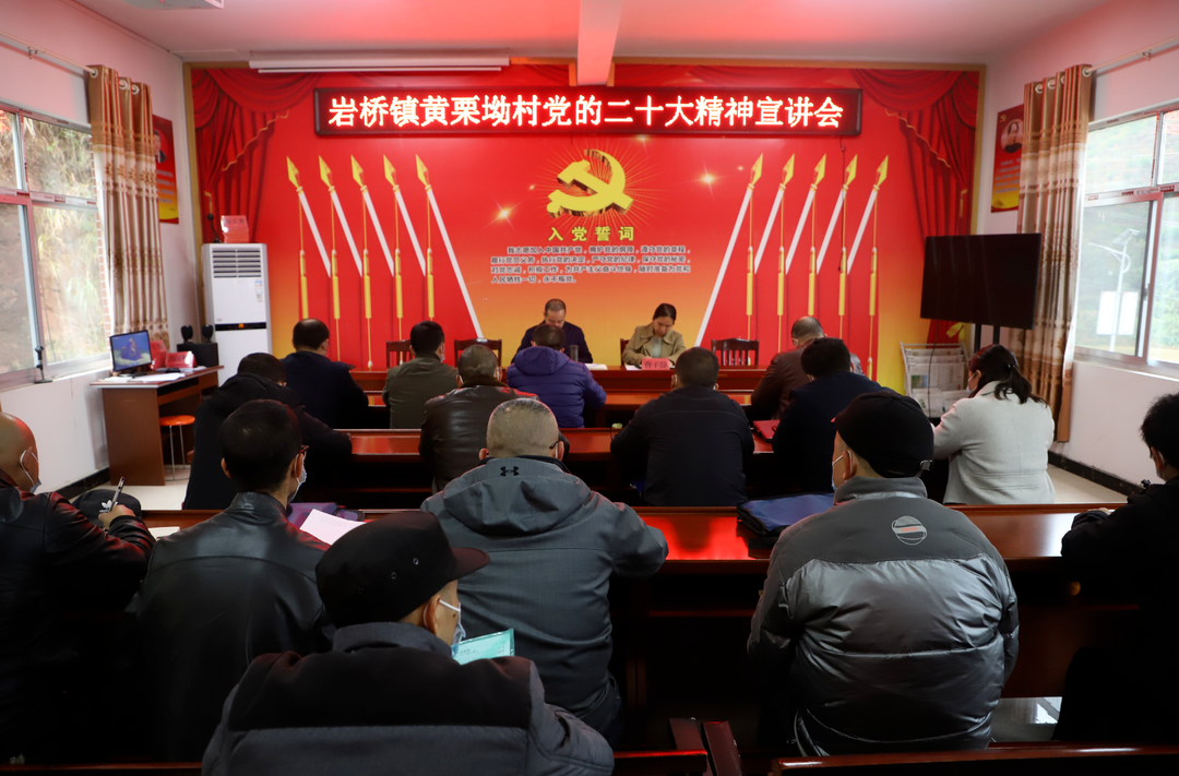 高源江深入岩桥镇宣讲党的二十大精神并开展调研