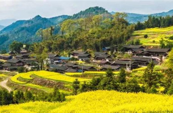 理论学习︱持续聚焦“六大重点” 奋力书写全面推进乡村振兴“芷江答卷”