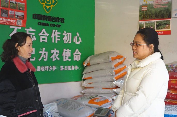 人民选我当代表  我当代表为人民丨陈芳：牢记代表使命 扎根基层献“芳华”