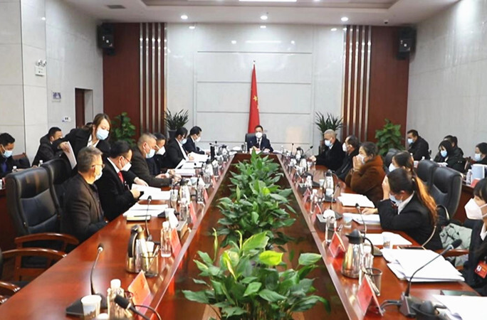 芷江侗族自治县第九届人民代表大会第二次会议人大代表开展分团活动