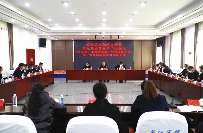 政协委员开展联组讨论