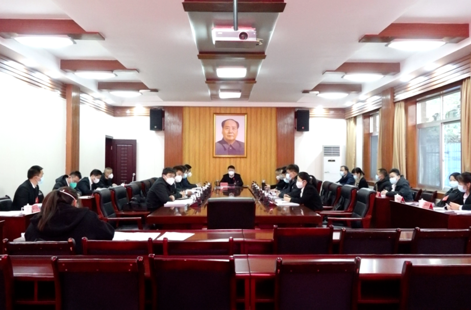 芷江侗族自治县第九届人民代表大会第二次会议人大代表开展分团活动
