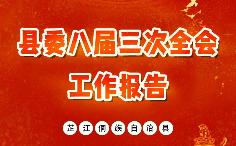 长图∣划重点 县委八届三次全会工作报告