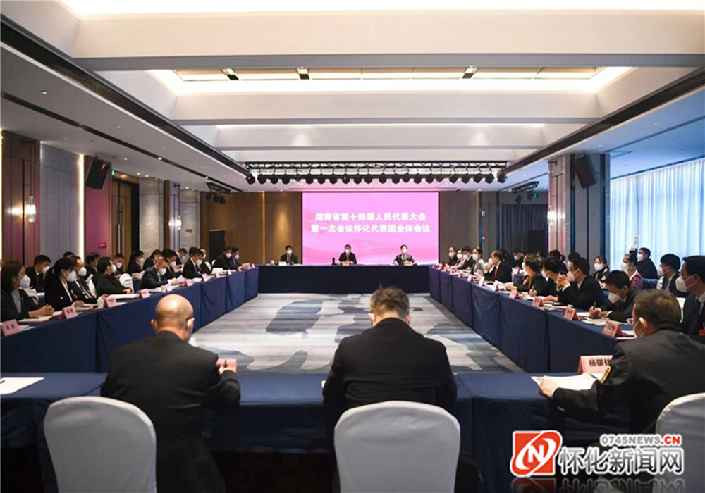 怀化代表团举行第二次全体会议 许忠建主持