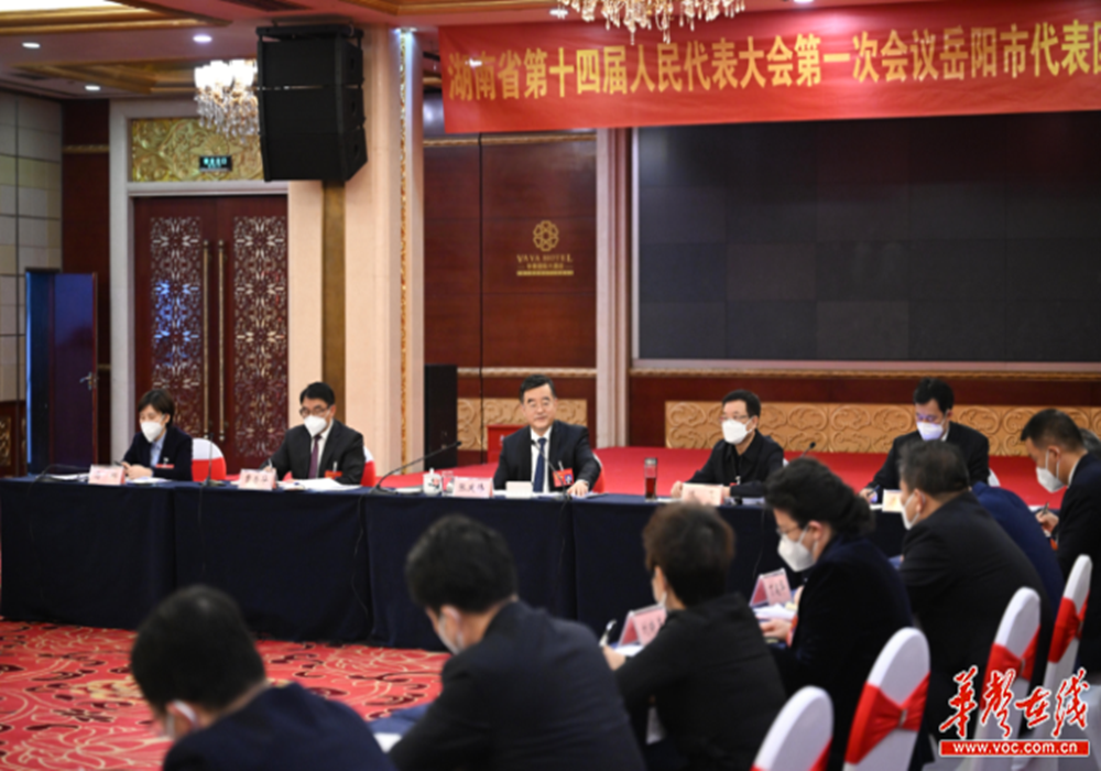 张庆伟参加省十四届人大一次会议岳阳市代表团审议