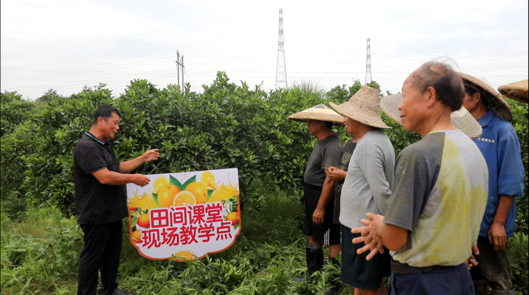 芷江:三聚三力提升“一课一片一实践”活动实效