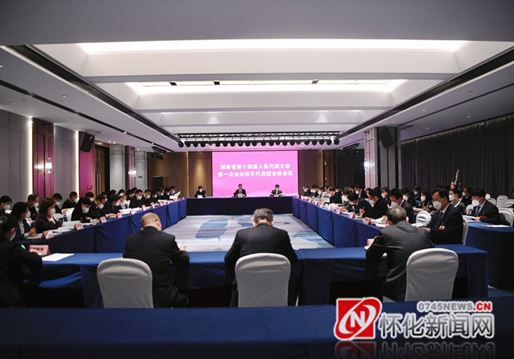怀化代表团举行第四次全体会议 举行分组审议