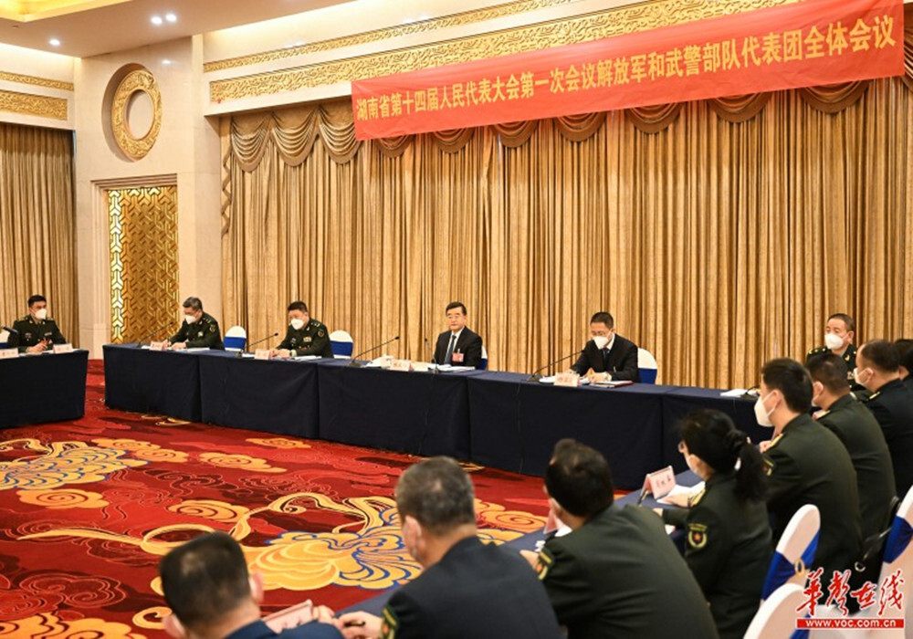 张庆伟参加解放军和武警部队代表团审议