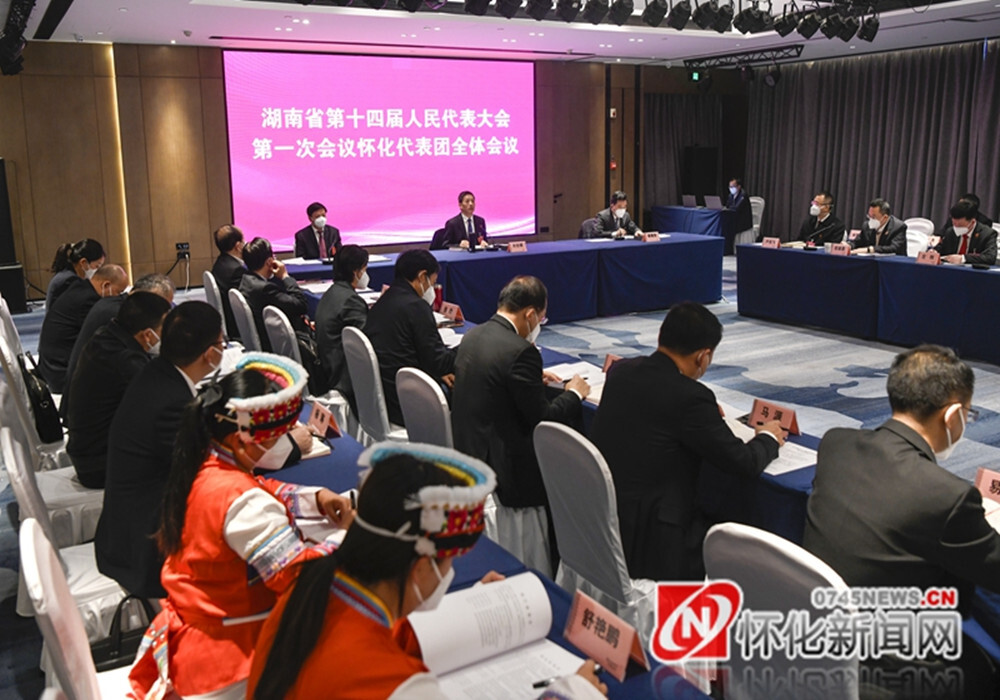 怀化代表团举行第五次全体会议 举行分组审议