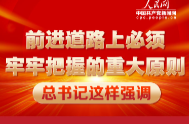 前进道路上必须牢牢把握的重大原则 总书记这样强调
