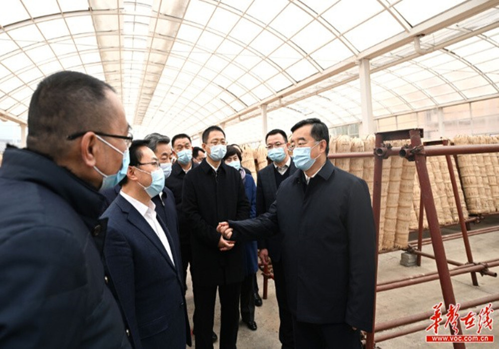 张庆伟：大力推动优势特色产业高质量发展