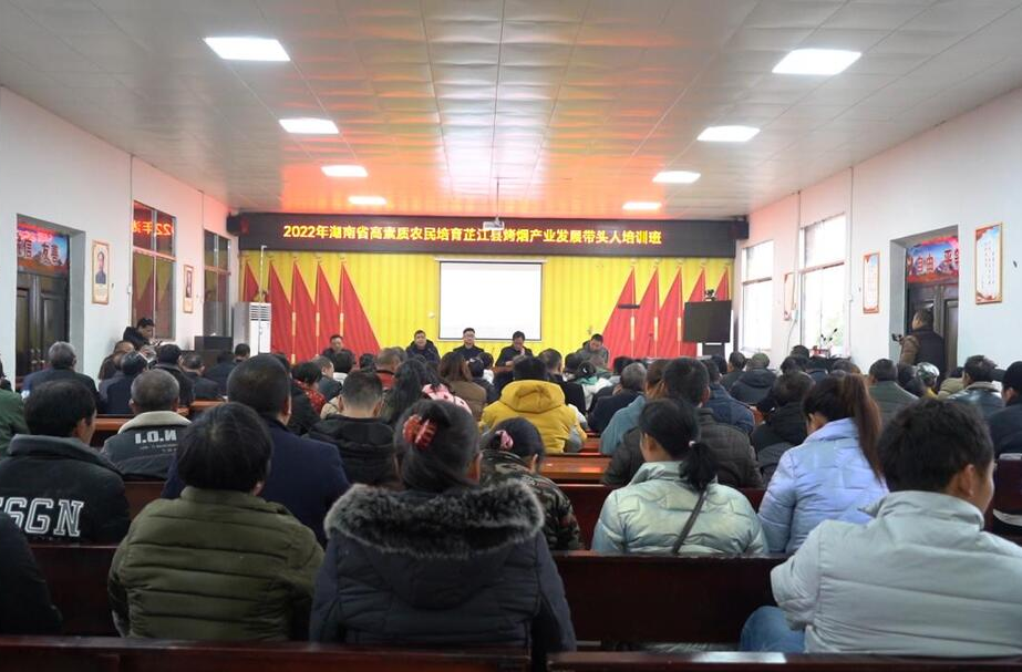 人勤春光好 春耕备耕忙丨碧涌镇： 烟农节后忙“充电”