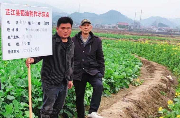 新店坪镇：春时农忙 为粮食安全加“油”