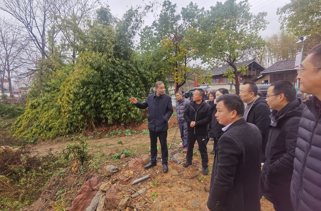 高源江深入岩桥镇槐花园村开展 “数芷乡村”项目调研