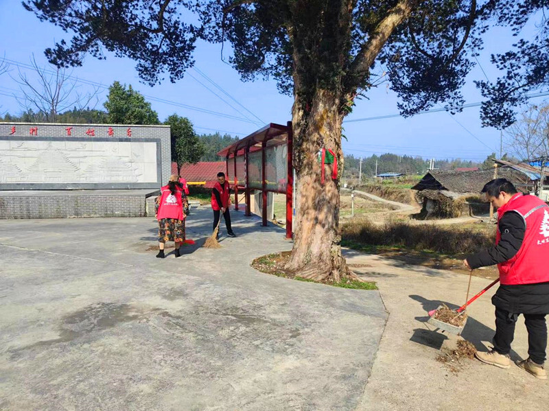 土桥镇：以赛促改 开展人居环境整治