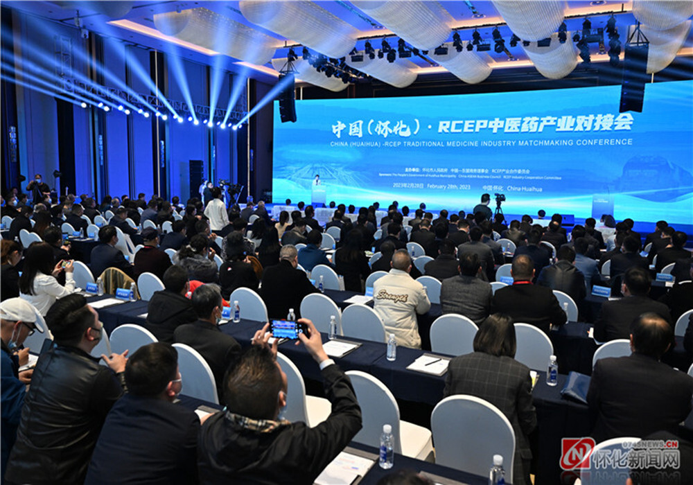 中国（怀化）—RCEP中医药产业对接会举行