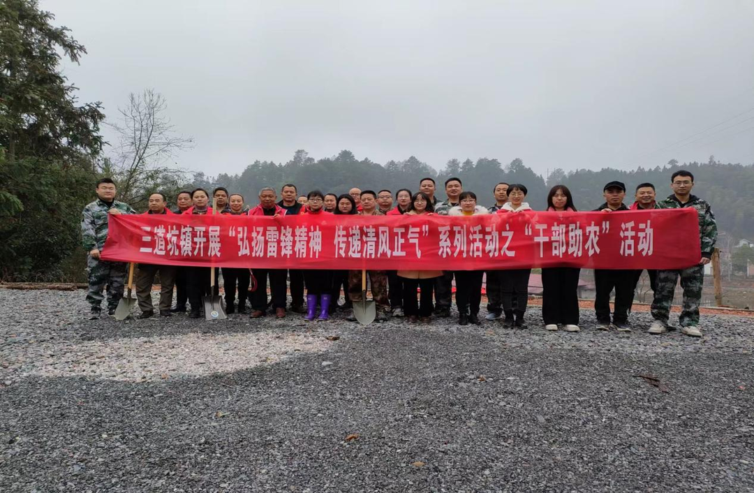 学雷锋 树新风丨三道坑镇：开展“弘扬雷锋精神，传递清风正气”干部助农活动