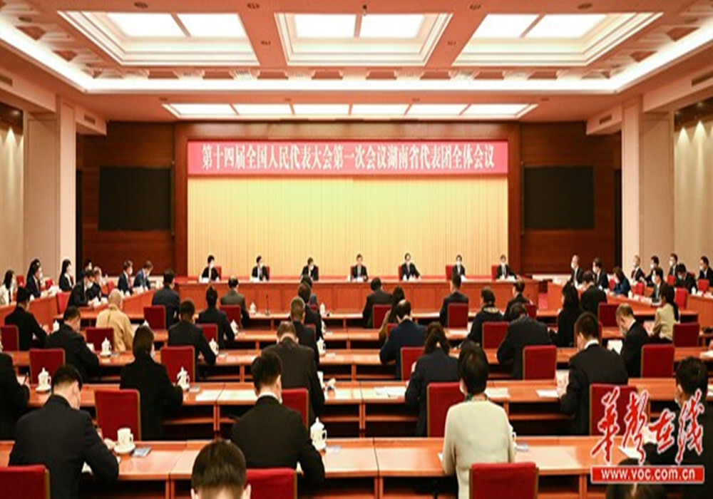 湖南代表团举行第一次全体会议