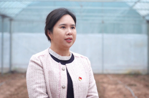 巾帼芬芳耀春华丨曹子静：最难割舍那份乡情