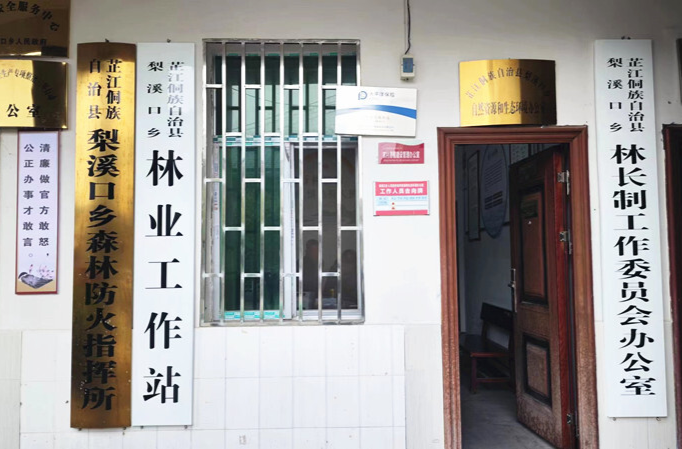 芷江：“党建+林长制” 谱写绿色新篇章