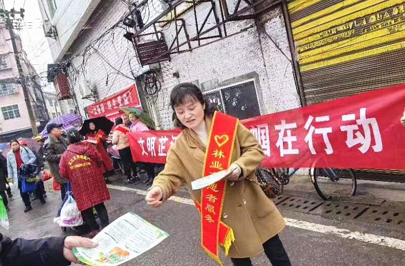 芷江林业局：凝聚巾帼力量 助力林业发展